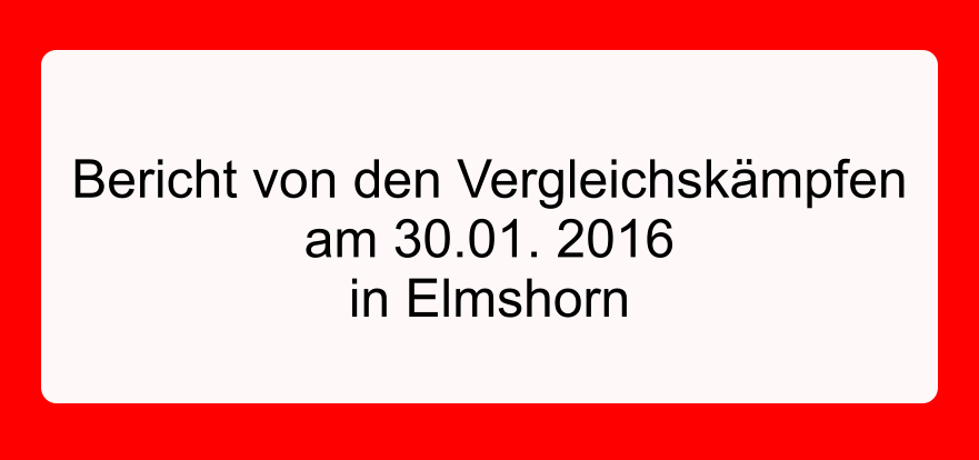 Bericht von den Vergleichskmpfen am 30.01. 2016 in Elmshorn