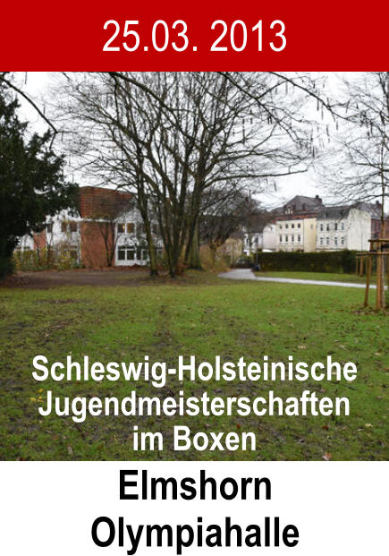 25.03. 2013 Elmshorn Olympiahalle Schleswig-Holsteinische Jugendmeisterschaften im Boxen