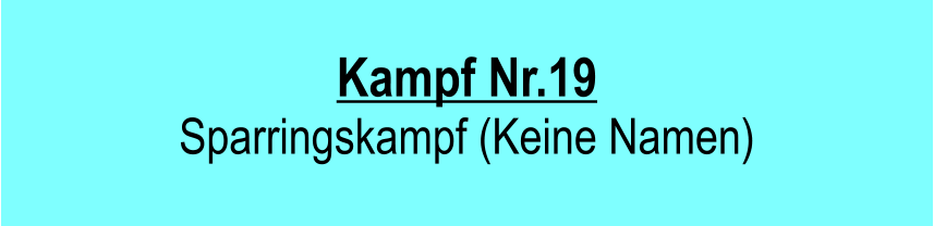 Kampf Nr.19  Sparringskampf (Keine Namen)